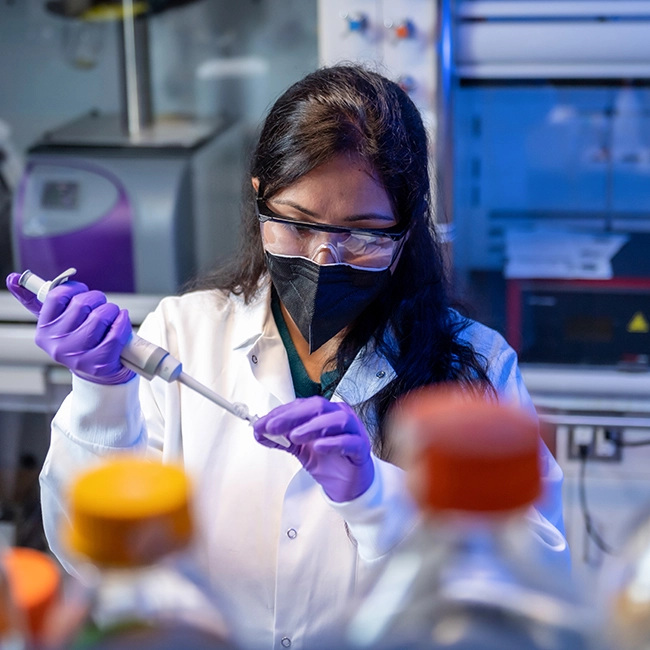 In a lab