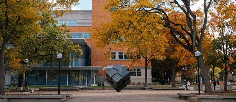 The Cube in Fall Colors