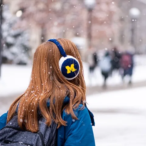 Winter in Michigan