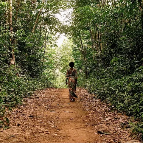 Peace Corps Volunteer in Forest