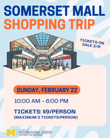 Somerset Mall Shopping Trip - Feb 2026
