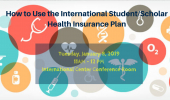 Health Insurance